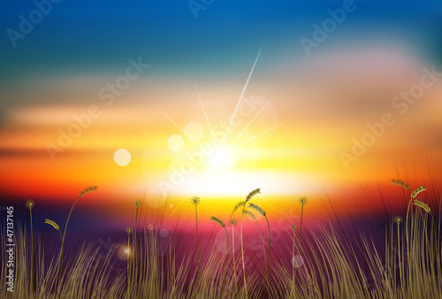 vector sunset