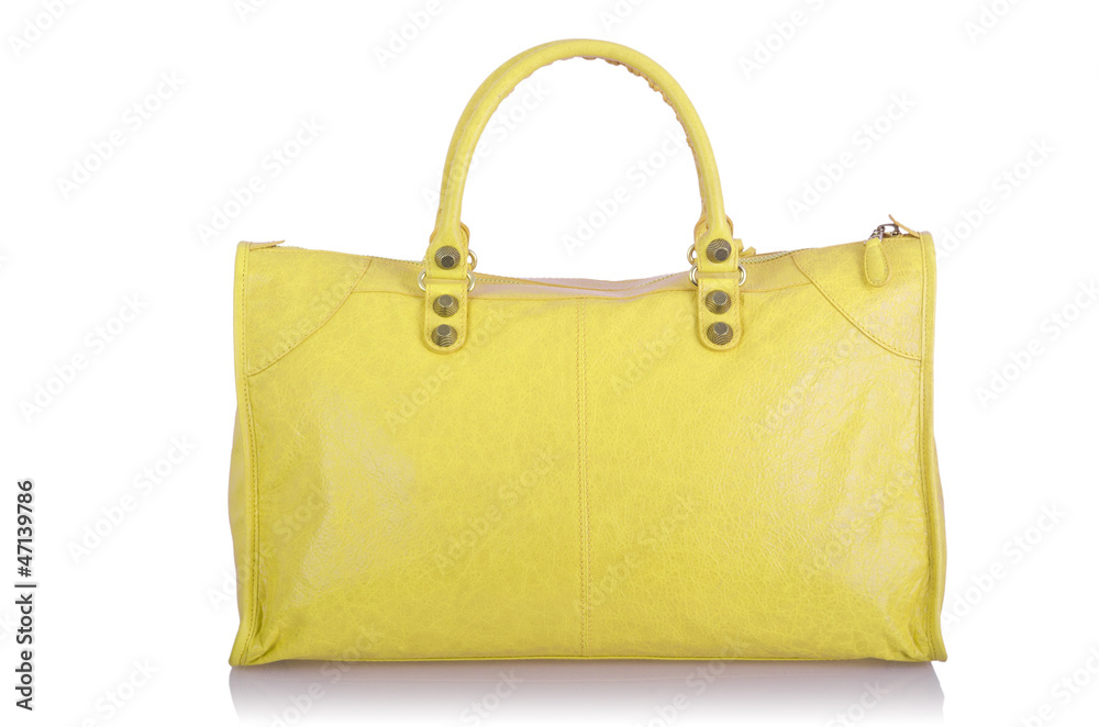 Elegant woman bag isolated on white Elegant woman bag isolated on white