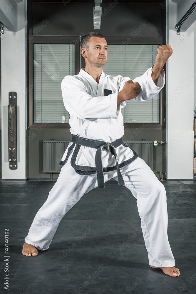 martial arts master martial arts master