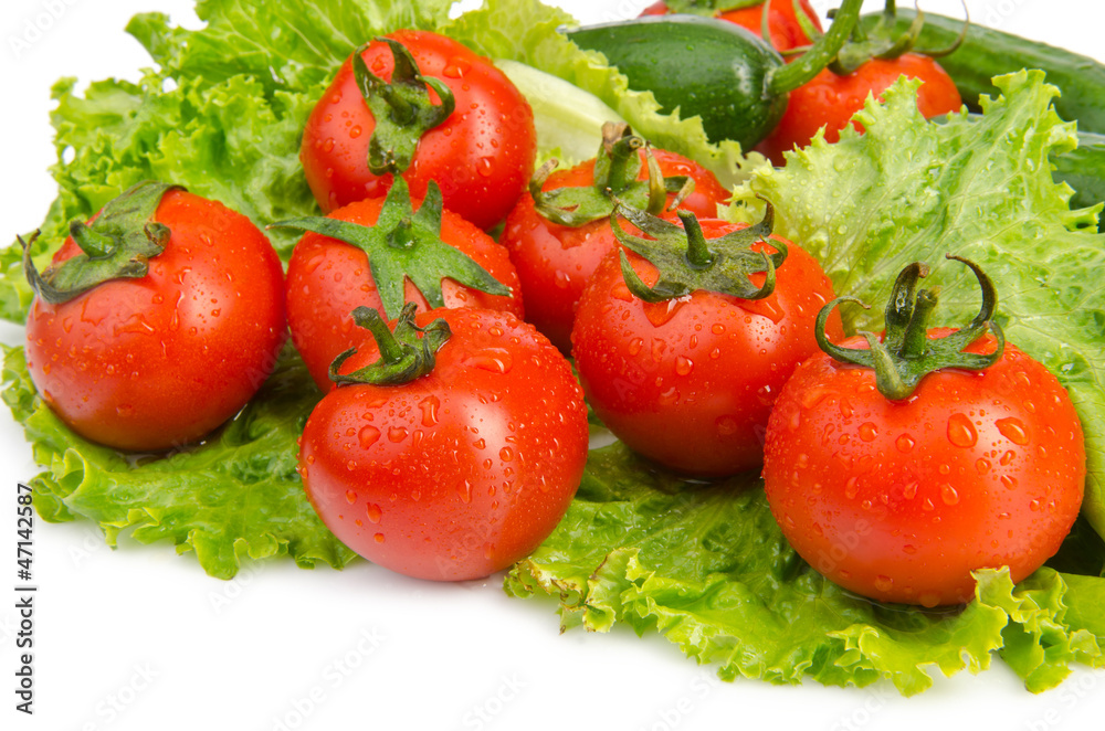 Cucumbers and tomatoes ready for salad Cucumbers and tomatoes ready for salad
