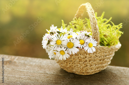 Korb mit Gänseblümchen, basket with daisies photo