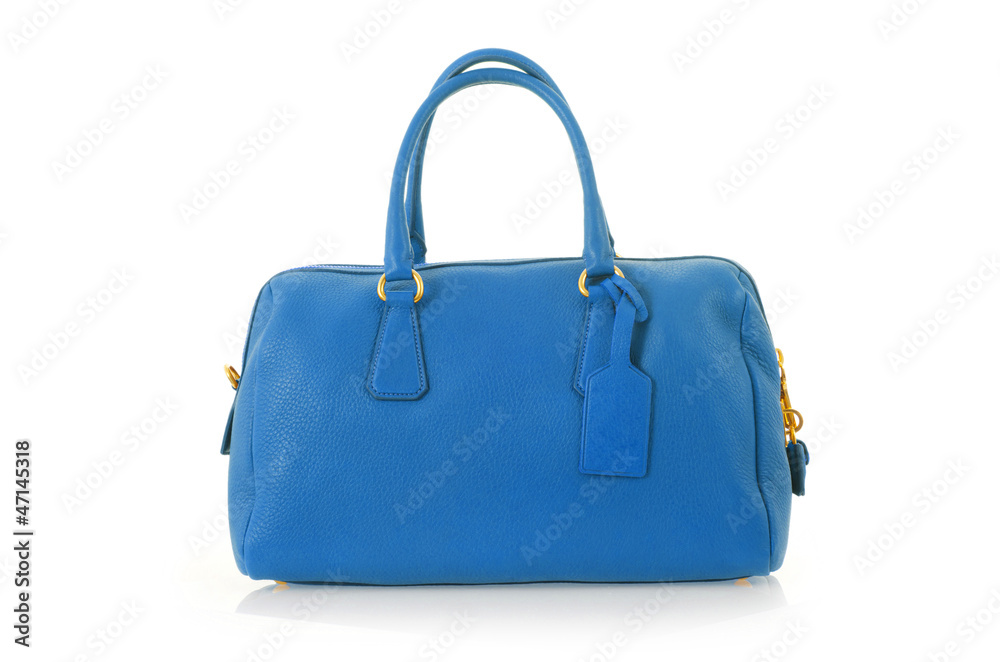 Elegant woman bag isolated on white Elegant woman bag isolated on white