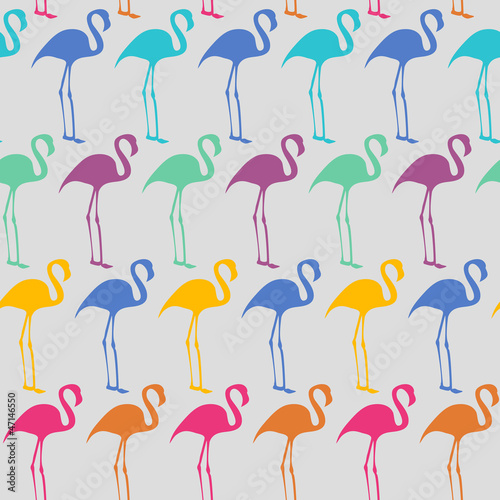 Flamingos