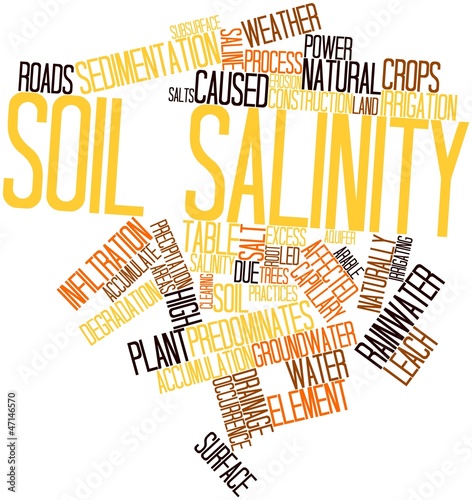 Word cloud for Soil salinity