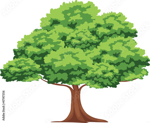 Tree vector