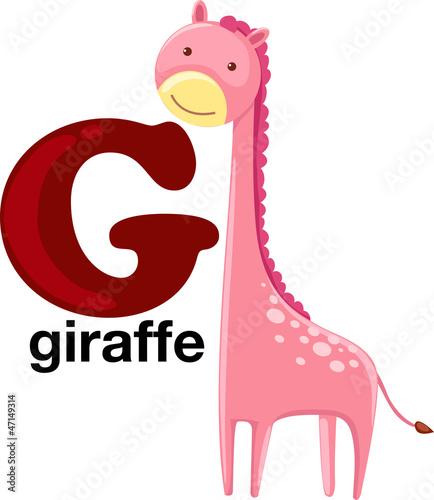 Animal alphabet letter - G 