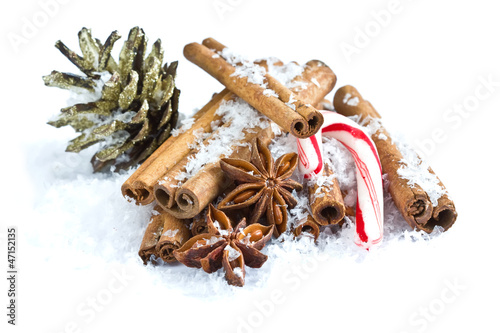 Group of spaces with cinnamon and anise isolated on white photo