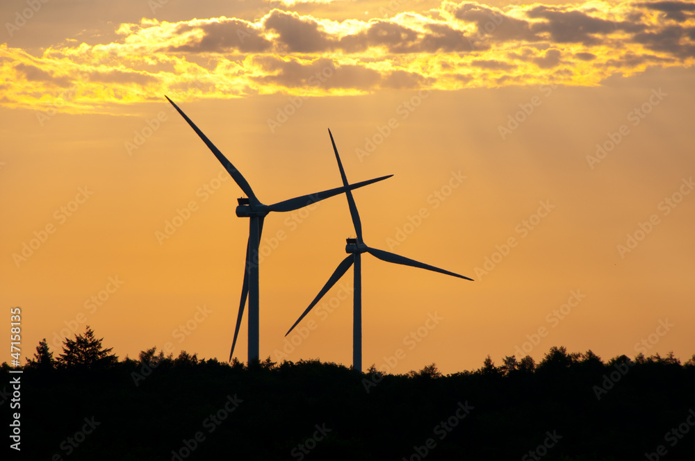 Obraz premium Wind Mill / Wind Turbine / Wind Plant