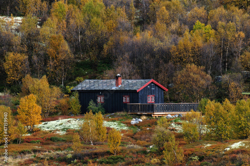 Holzhütte im Dovrefjell photo