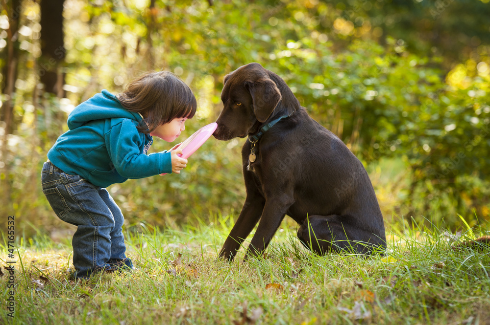 Young child playing fetch with dog - obrazy, fototapety, plakaty 