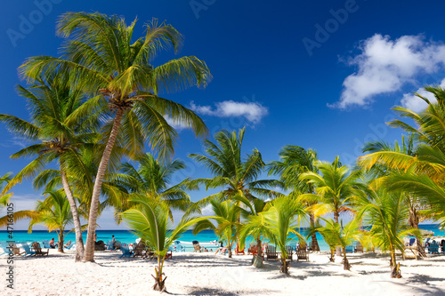 Fototapeta Naklejka Na Ścianę i Meble -  Tropical Beach, Saona Island, Dominican Republic