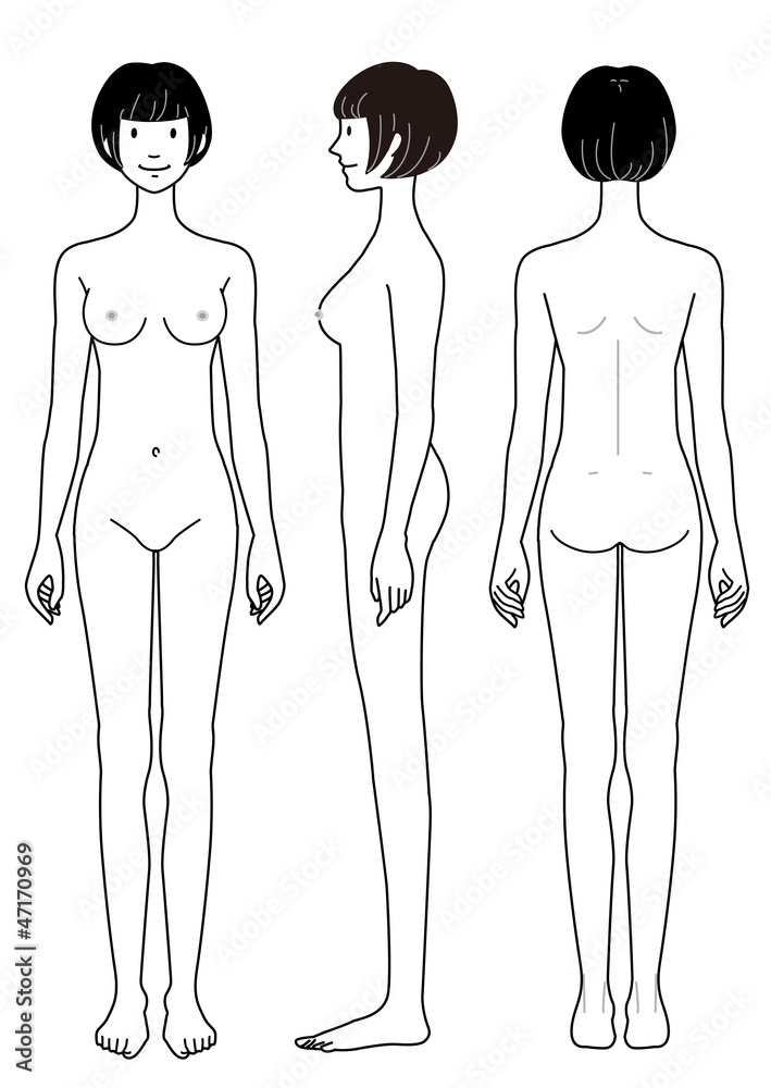 女性の身体 ヌード 正面 横向き 後姿 Stock イラスト Adobe Stock