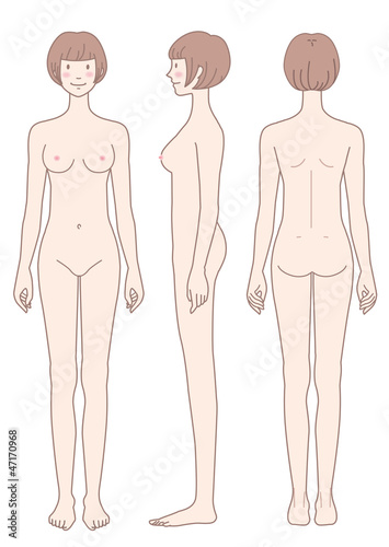 女性のからだ ヌード 正面 横向き 後姿 Stock イラスト Adobe Stock