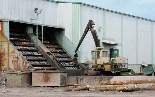 Quebec; log in a sawmill in Saint Adalbert photo