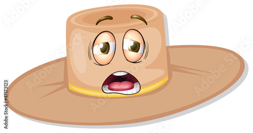 a hat