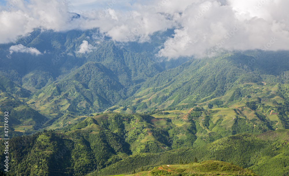 Naklejka premium Góra ryżowa