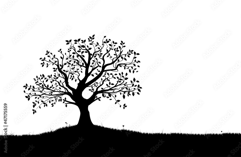 Fototapeta premium Tree Silhouette, Black and White Vector Shape