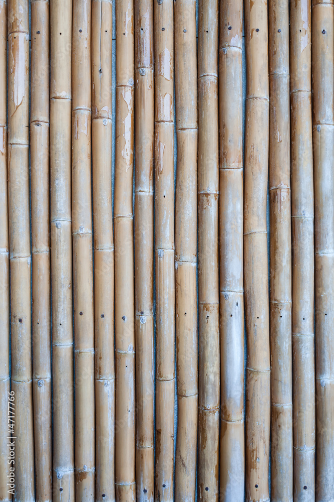 Fototapeta premium Natural bamboo texture concealed cement wall