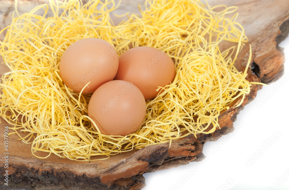 Eier Eier
