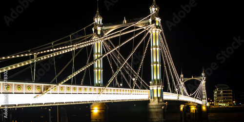 Albert Bridge photo