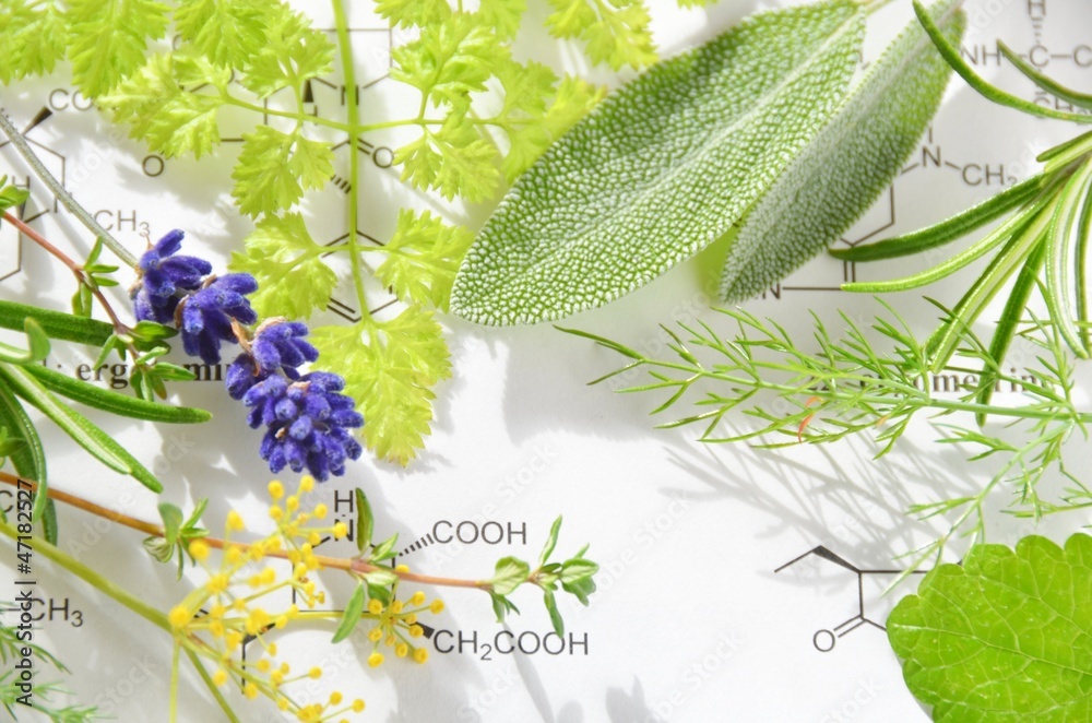 Obraz premium herbs on the science sheet