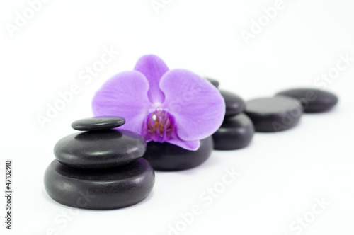 Black massage stones with purple flower