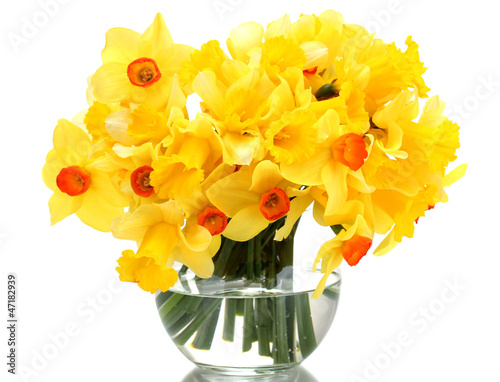 Fototapeta Naklejka Na Ścianę i Meble -  beautiful yellow daffodils in transparent vase isolated on