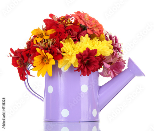 bouquet of beautiful summer flowers in watering can, isolated