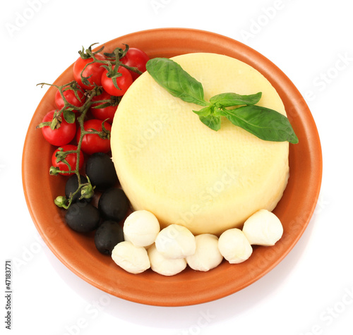 cheese mozzarella with vegetables in the plate isolataed