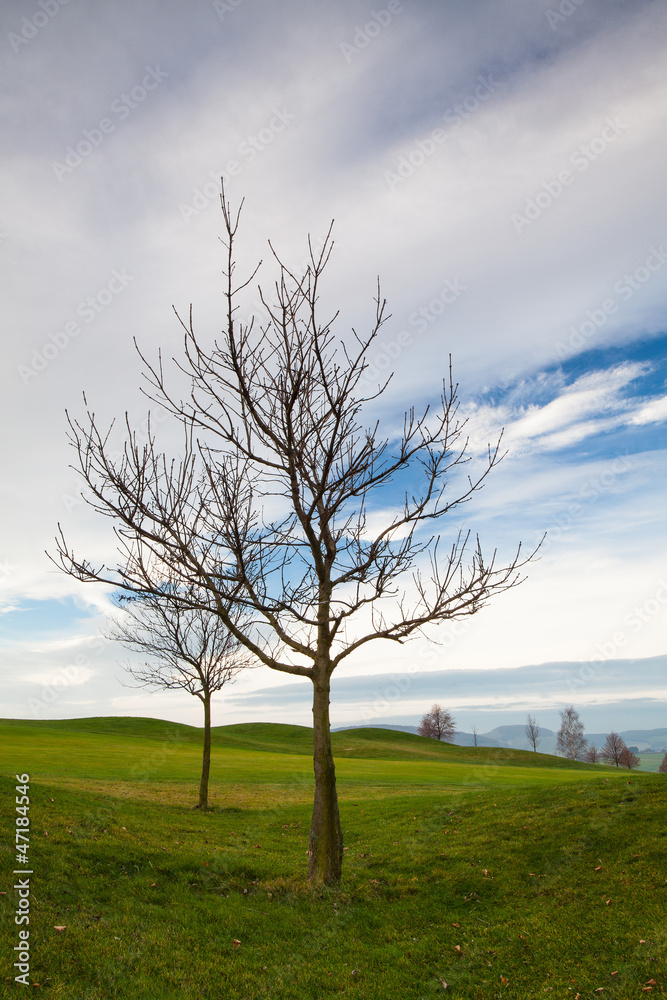 On the golf course in autumn in the mist in Prague