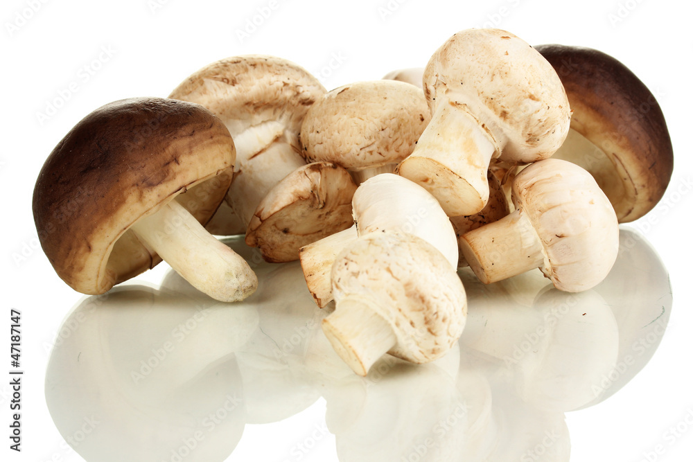 Fresh mushrooms isolated on white