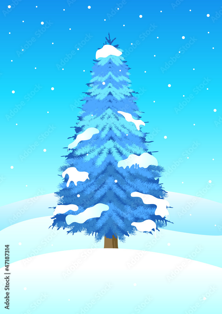 Vector illustration of blue pine tree in wintertime
