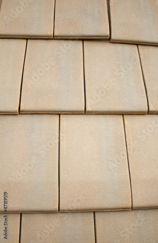 Clay Tile Roof