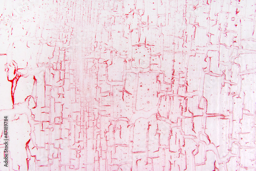 pink cracked effect texture background photo