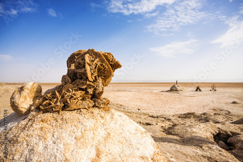 Canvastavla Desert rose in Chott el Djerid - salt lake in Tunisia