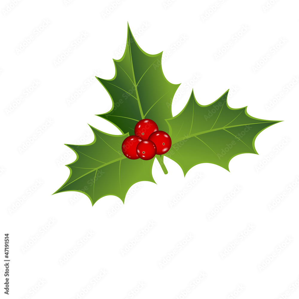Mistletoe Mistletoe