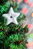 Cristmas star shape on fir tree