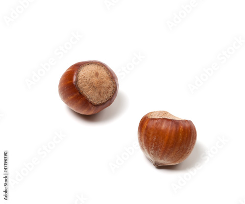 Two brown hazelnuts