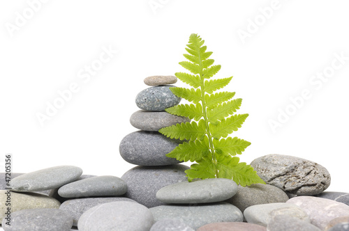 Zen abstract of a green fern leaf and with gray spa stones