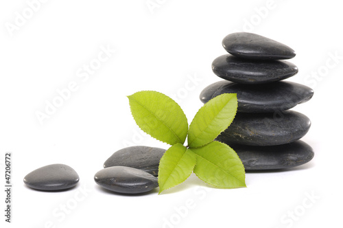 Stack of stones with mint leaf