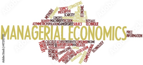 Tablou pe pânză Word cloud for Managerial economics