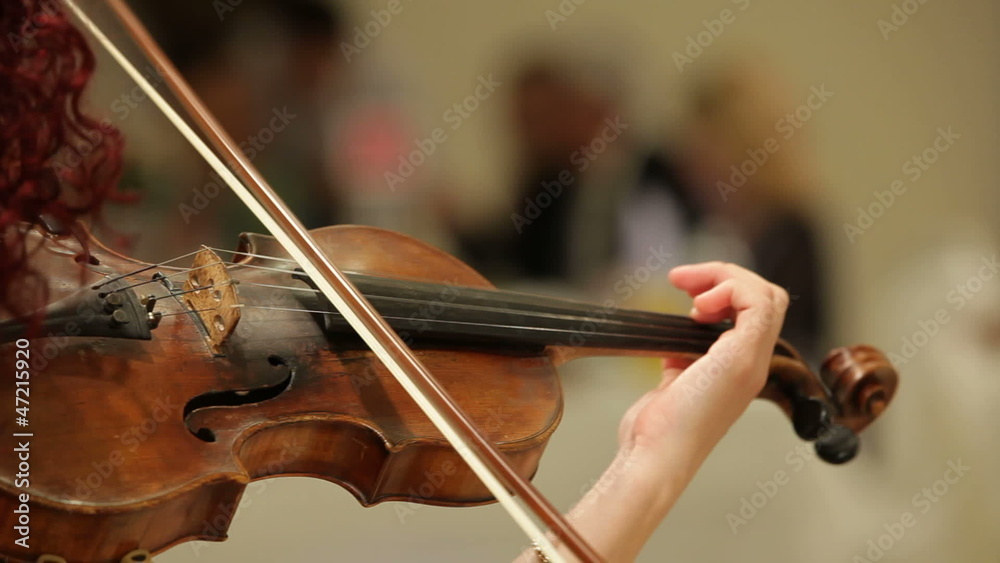 Musician playing the violin on the wedding Musician playing the violin on the wedding