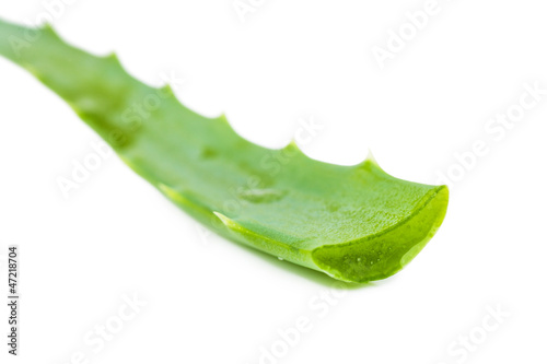 Aloe leaf