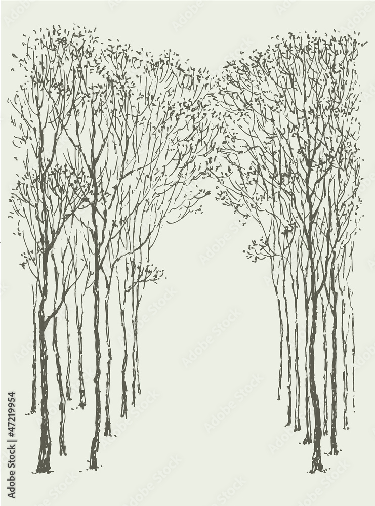 Fototapeta premium Vector background. Arc frame of trees