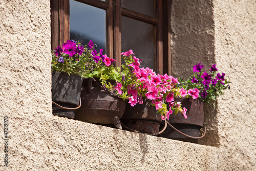 balcone fiorito #2 photo