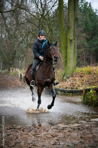 Equestrian Rider and Horse © Bedi