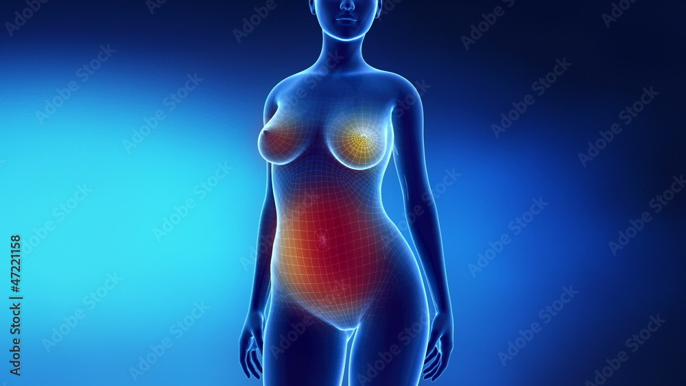 Pregnant Female abdomen changes time lapse