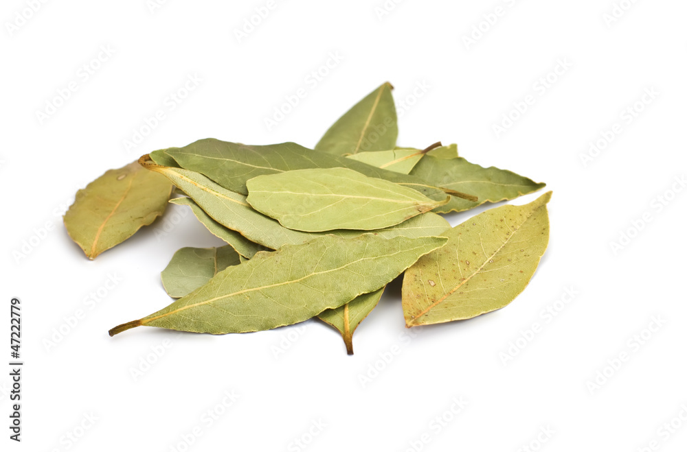 Group of spaces with bay leaves isolated on white Group of spaces with bay leaves isolated on white