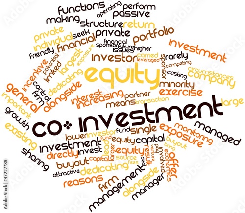 Word cloud for Equity co-investment
