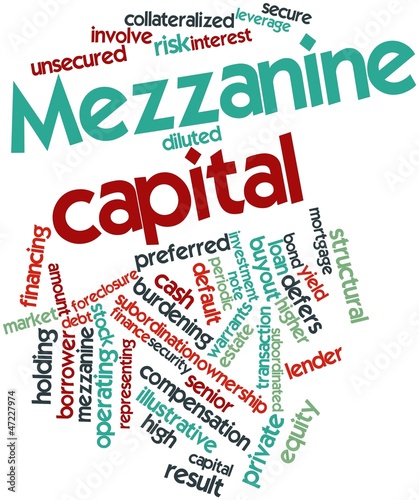 Word cloud for Mezzanine capital